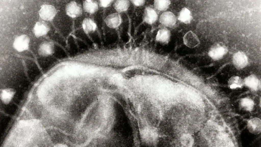 Science Snapshots: August 9, 2026: Treatment update