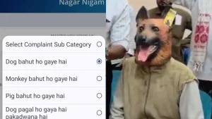 A protest involving a man wearing a dog mask at a public grievance hearing in Madhya Pradesh's Khandwa