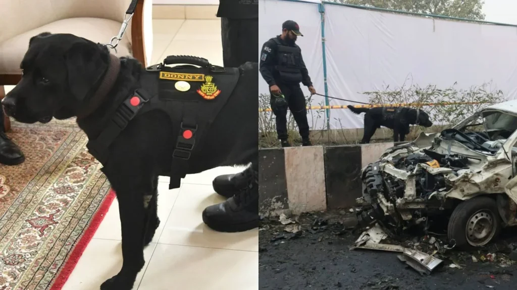 In the aftermath of the Red Fort blast last year, National Security Guard's (NSG's) K9 Donny detected