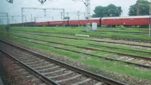 At Mysuru Railway Station, idlis were found to be prepared using plastic material and expired food items