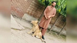 Indian agencies arrested more than 250 people from 14 states over their alleged links to Pakistan's