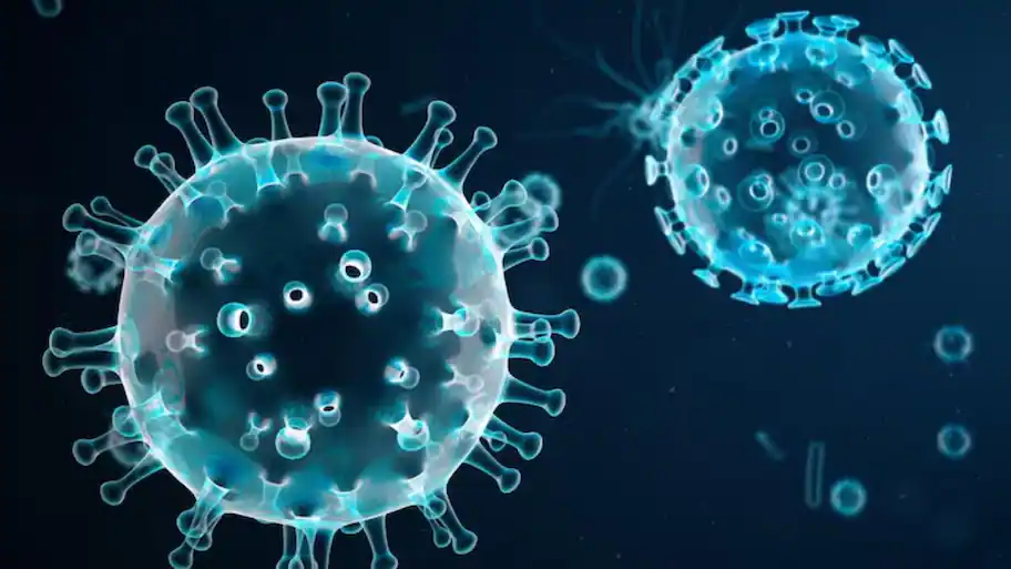 Delhi has recorded more than 1,770 laboratory-confirmed H1N1 cases so far, with the city's