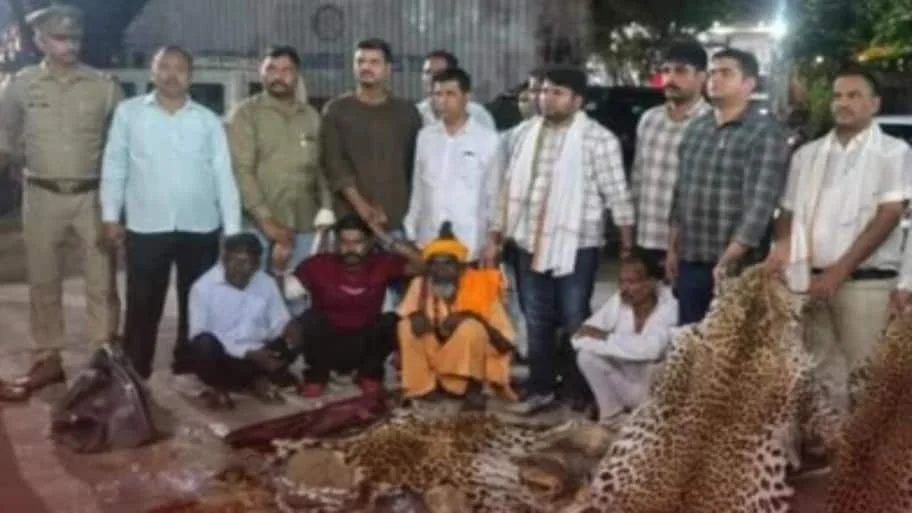 The seizure of 10 leopard skins on a highway in Uttar Pradesh has led to an investigation in Madhya