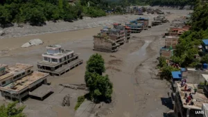 Amid Nepal Tragedy, Plea Seeks Verified Status, Rescue Of Tamil Nadu Pilgrims