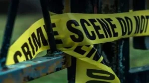 Bengaluru man checks into 5-star hotel with 2 daughters, then kills them: Investigation and enforcement update