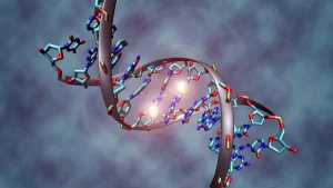 If DNA is the instruction manual, we just opened a big: Team performance explained