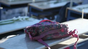 Visakhapatnam horror: 6-year-old collapses and dies following alleged corporal punishment; probe ordered
