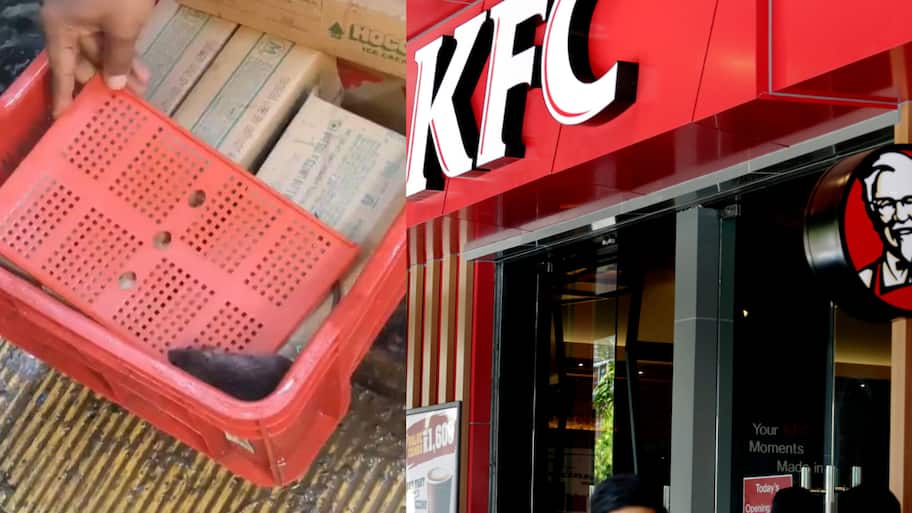A video that recently went viral shows a live rat inside an ice cream storage crate at a quick-commerce