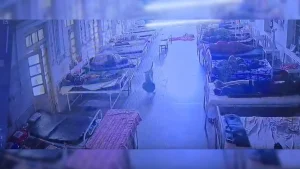 With the help of other CCTV cameras, the police searched for the dog and the missing bag