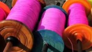 Retired soldier fall victim lethal Chinese kite string in Jammu
