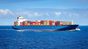 Two crew members have been rescued after a Panama-flagged cargo ship carrying 24 people sank in the Bay
