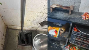 Action Against Mumbai McDonald's Outlet, Elite Clubs — Roach, Flies, Fakes