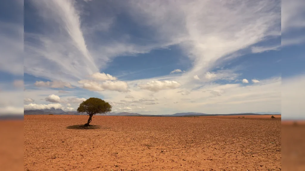 El Nino is currently still in its developing phase and is expected to peak after October 2026