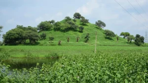 Bigger Than Sanchi? Ujjain May Be Sitting On 2,200-Year-Old Buddhist Mystery