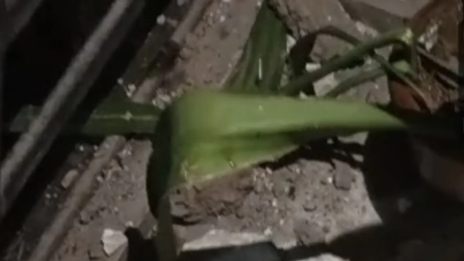 Last night, a large crack was noticed in a building in Chirag Delhi