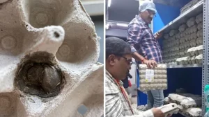 'Maggots In Eggs' Complaint Against Blinkit Outlet In Mangalore