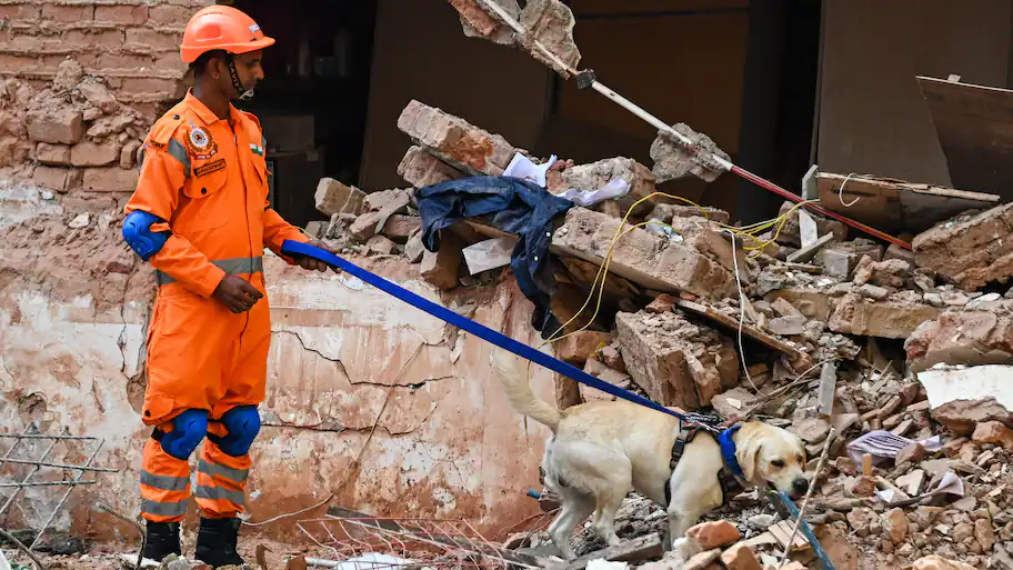 Delhi Police have apprehended a labour contractor responsible for supervising repair work
