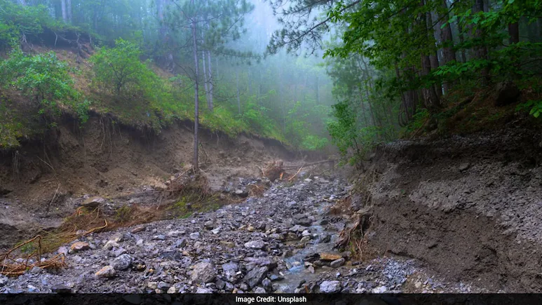 Chennai Tourist Dies In Kerala Landslide, Friend Injured