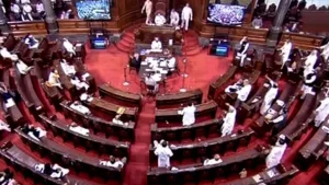Achari said members with special interests and specialisation in certain fields can be made