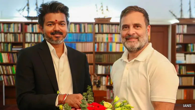 Addressing the media, Tamil Nadu Congress Committee Chief Manickam Tagore said the TVK