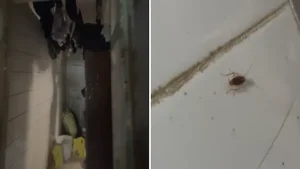 Apart from the urinal in the food storage area, inspectors found unhygienic food preparation