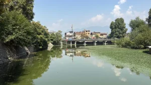 unless concrete measures are taken immediately, the very existence of Dal Lake and the Jhelum