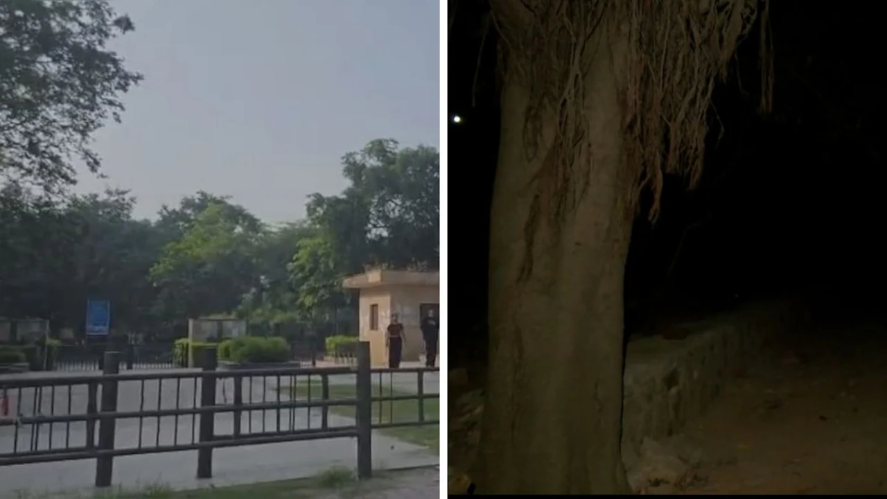 How does a sprawling public park in the middle of South Delhi become so dark and isolated
