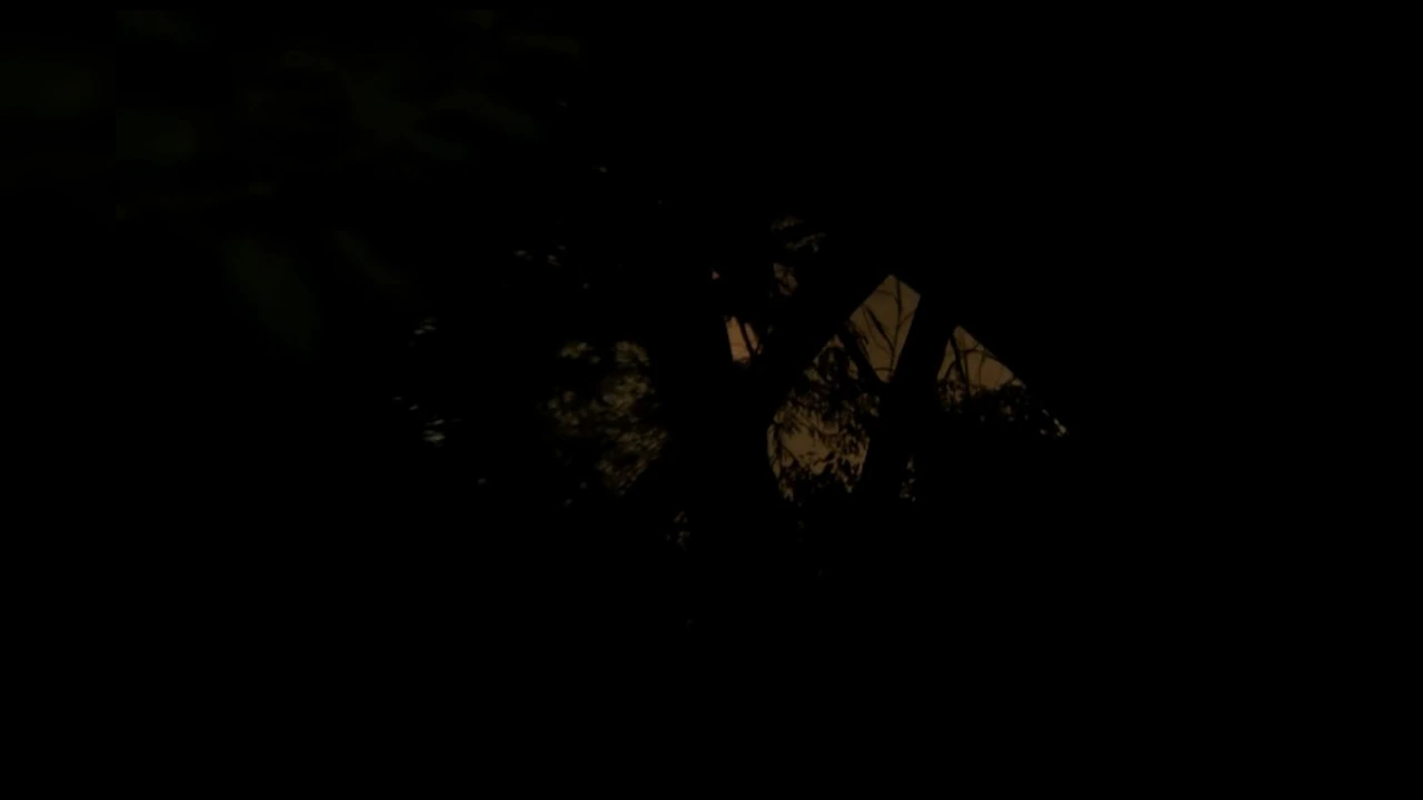 How does a sprawling public park in the middle of South Delhi become so dark and isolated