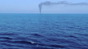 Indian Embassy in Oman confirms death of national, monitoring crew safety — MV Cape Dao attack