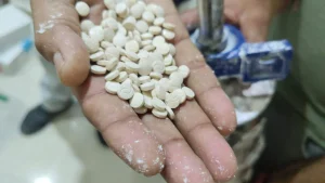Two psychiatrists in New Zealand won approval Friday to prescribe pharmaceutical-grade MDMA