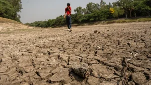 India is on course for its driest monsoon in 17 years as a strengthening El Nino curbs