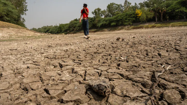 India is on course for its driest monsoon in 17 years as a strengthening El Nino curbs