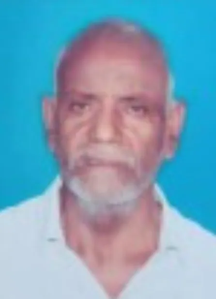Laxmi Ravishankar Pali had been washing clothes when her father-in-law Nathulal Pali got