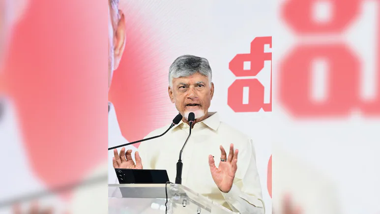 Naidu maintained that the government had followed the legal process, addressed the allegations