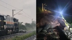 Elephant Critically Injured After Being Hit By Train In Assam