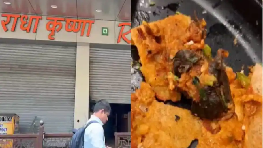 Rat found in dosa: Mumbai eatery shut down after customer falls ill, FDA raids intensify | VIDEO