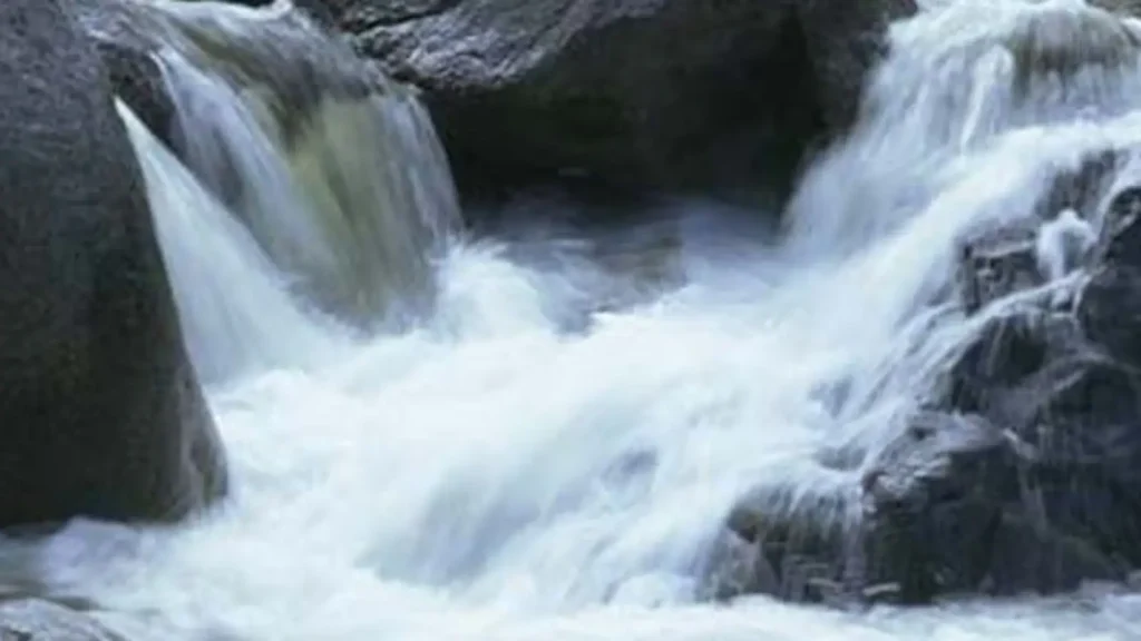 4 Children Of A Family Die Days After Visiting Madhya Pradesh Waterfall, Probe