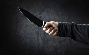 Man kills wife, two minor sons before suicide bid in Raipur