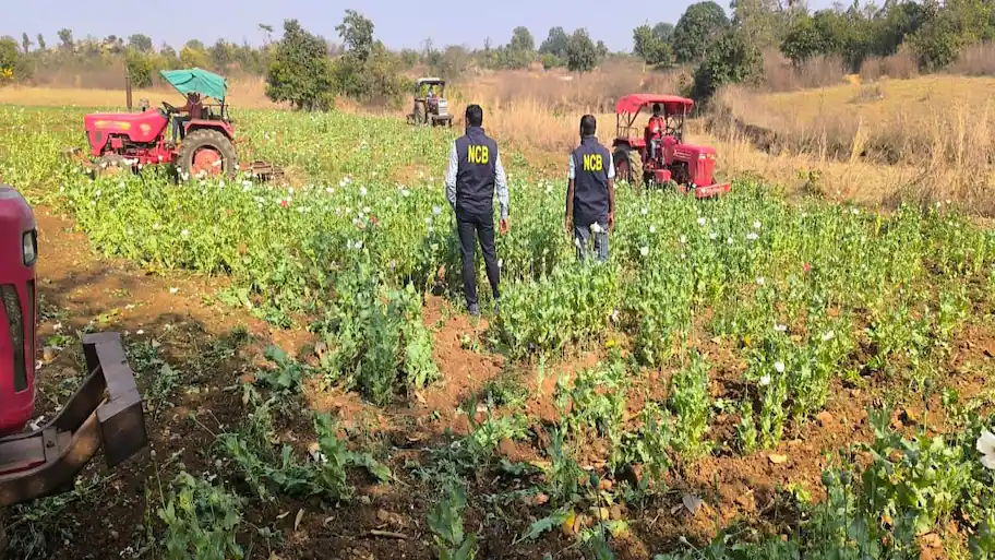 “I welcome Prime Minister Modi and the Government of India's efforts to address illicit opium