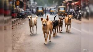 Over 100 Dog-Bite Cases Reported In Assam's Dibrugarh In A Week