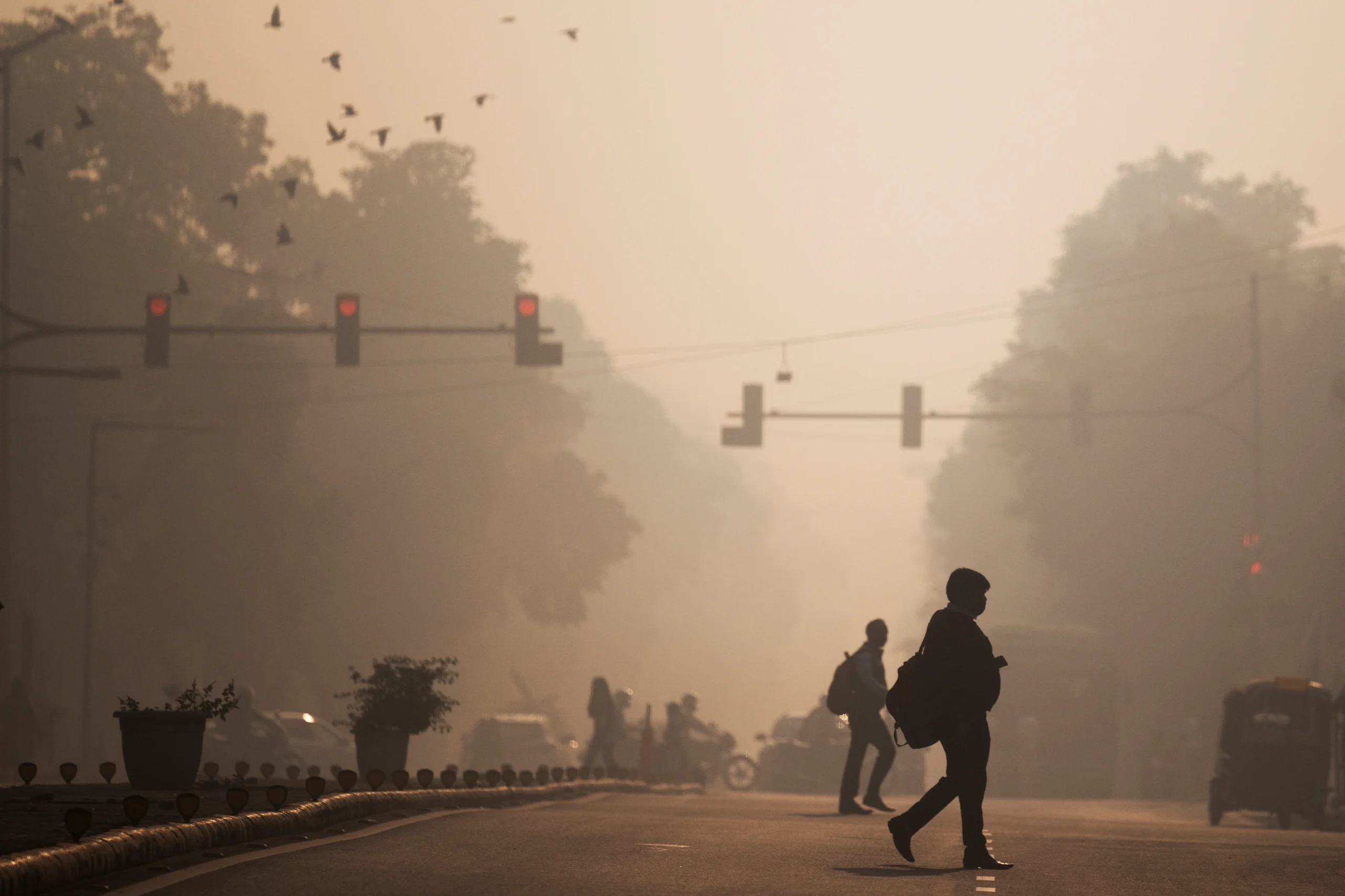 Parking Charges To Double, WFH For Offices In Delhi's Winter Pollution Plan