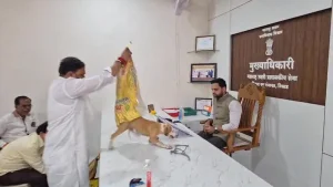 Video: Yuva Sena Workers Release Stray Dogs On Nashik Official's Table