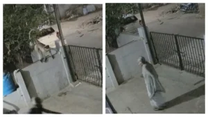 CCTV Shows Monkey Pouncing On 91-Year-Old Woman In Karnataka, She Dies Next Day