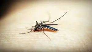 7-year-old girl dead, 47 children hospitalised after anti-malaria pill drive — Andhra Pradesh