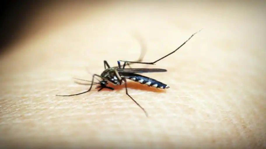 7-year-old girl dead, 47 children hospitalised after anti-malaria pill drive — Andhra Pradesh