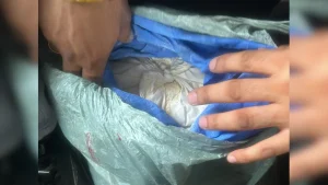 Earlier, on August 22, officials seized 5.160 kilograms of heroin from a vehicle in Jammu