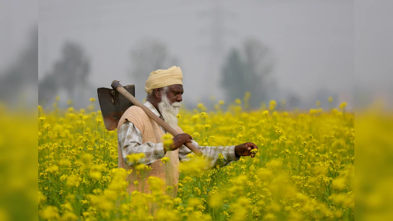 Cabinet Clears MSP Hike For Rabi Crops, Safflower receives Biggest Boost
