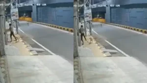 Street dogs chased away an intoxicated minor in Tamil Nadu's Coimbatore while he was molesting