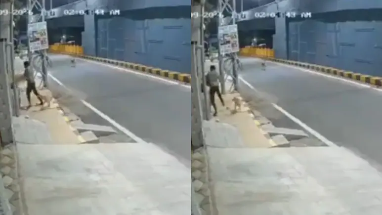 Street dogs chased away an intoxicated minor in Tamil Nadu's Coimbatore while he was molesting