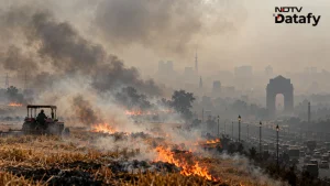 How Much Do They Add To Delhi's Pollution? — Farm Fires Are Rising